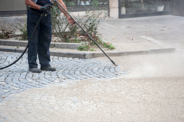 Best Roof Washing  in Belle Glade, FL